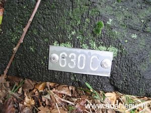 630c-tussen-wyler-en-beek