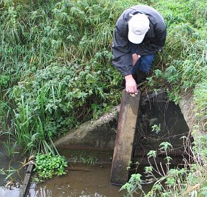 645a-in-de-sloot-ad-zuiver-maken1