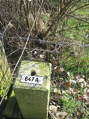647a-d-zijde-boerderij-friesdonk1