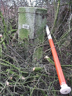 649-n-zijde-meidoornhaag-zeelandshof1