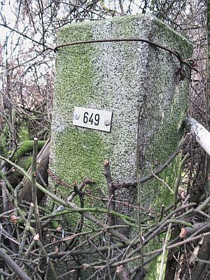 649-n-zijde-tussen-meidoorn-zeelandshof1