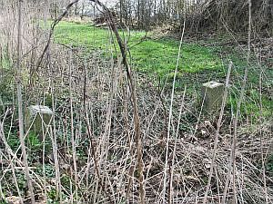 649a-twee-maal1