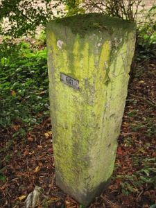 641-bij-wylerbergmeer1