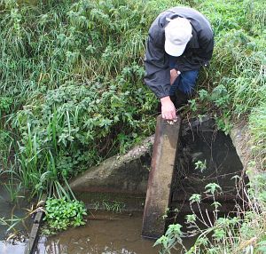 645a-in-de-sloot-ad-zuiver-maken1