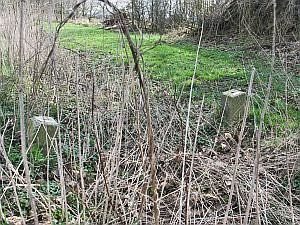 649a-twee-maal1