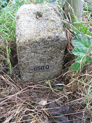 650q1