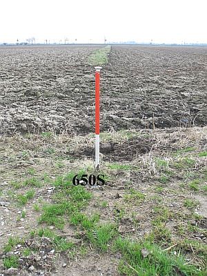 650s-richting-millingen-ad-rijn-ng1
