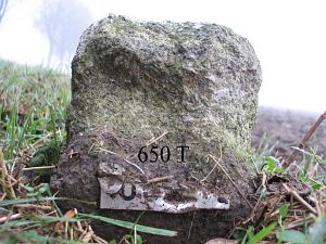 650t-ten-zuiden-van-millingen-ad-rijn1