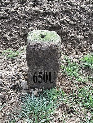 650u-muhlenberg-millingen-ad-rijn-gn1