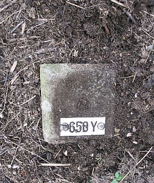 650y-muhlenberg-millingen-ad-rijn1