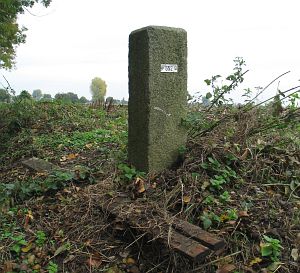 652-dl-zijde1