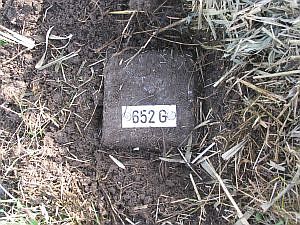 652g-d-zijde-millingen-ad-rijn1
