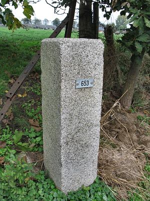 653-omg-bimmem-dl1
