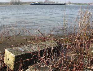 658-noordzijde-rijn-in-water-tolkamer1