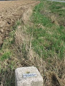 650d-omg-zeelandshof1