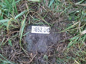 652d-d-zijde-millingen-ad-rijn1