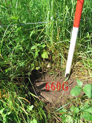 660g-spijckerweg