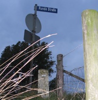 660-boven-op-de-dijk-in-spijk