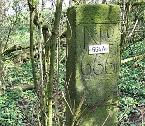 664a-detail