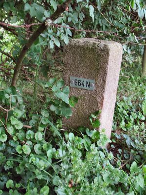 664n-houberg-onderkant-dijk-door-wei1