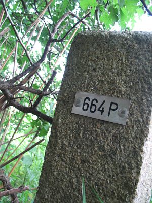 664p-houberg-onderkant-dijk-door-wei1