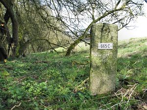 665c-eefkamerlingschap-elten