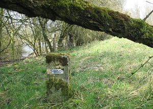 665d-eefkamerlingschap-elten