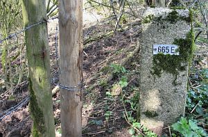 665e-eefkamerlingschap-2