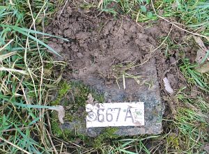 667a-meeuwenpolder-omg-babberich1