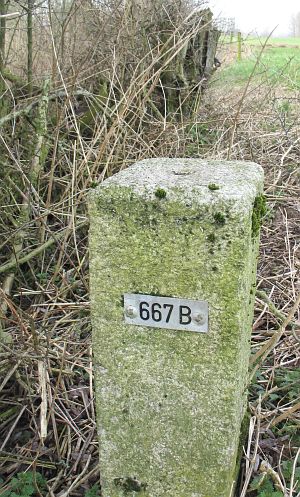 667b-meeuwenpolder-omg-babberich1