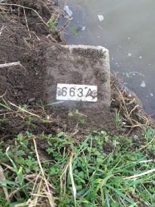 663a-oude-rijn-elten-n-zijde1