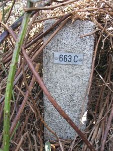 663c-oude-rijn-elten1