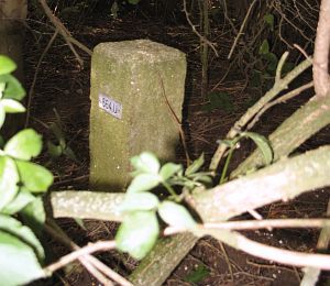 664u-houberg-onderkant-dijk-door-wei1