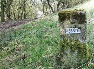 665d-eefkamerlingschap