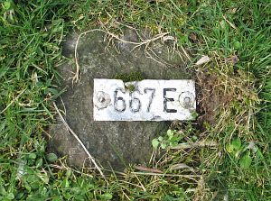 667e-meeuwenpolder-omg-babberich1