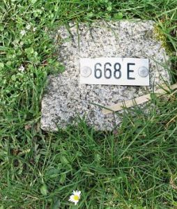 668e-meeuwenpolder-omg-babberich