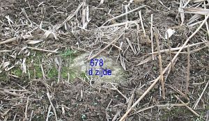 678-taubenweide-babberich-d-zijde
