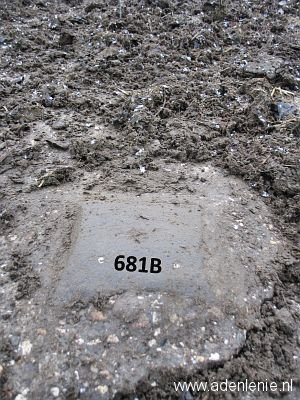 681b-bij-boer-onder-de-mest-babberich1