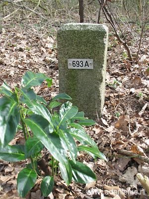 693a-beek-korterbos2