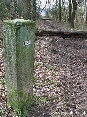 694a-beek-korterbos2
