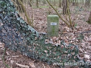 694e-beek-korterbos2