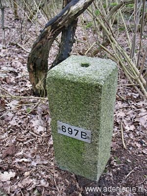 697b-beek-korterbos2