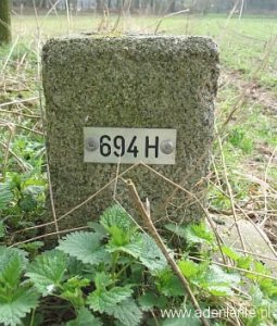 694h-beek-korterbos2