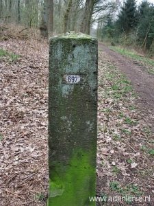697-beek-korterbos2