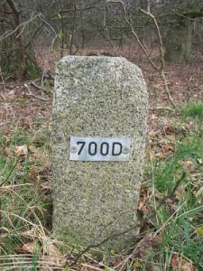 700d-langs-a12-zuid-van-stokkum2
