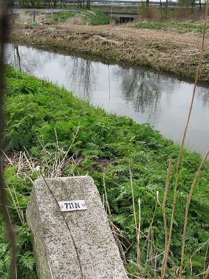711n-hetterlandwehr-schapen