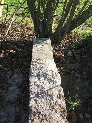 79-i-omg-springendal-ootmarsum1