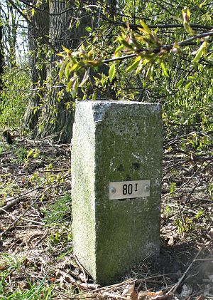 80-i-hezingen-drei-polle