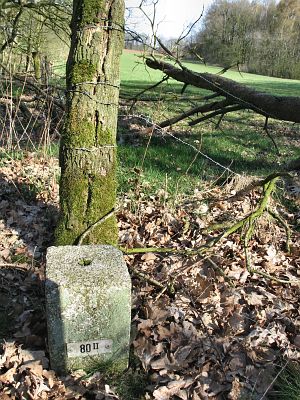 80-ii-hezingen-drei-polle