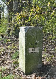 80-i-hezingen-drei-polle